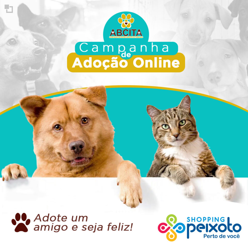 Adote um amigo e seja feliz – Campanha de Adoção Online