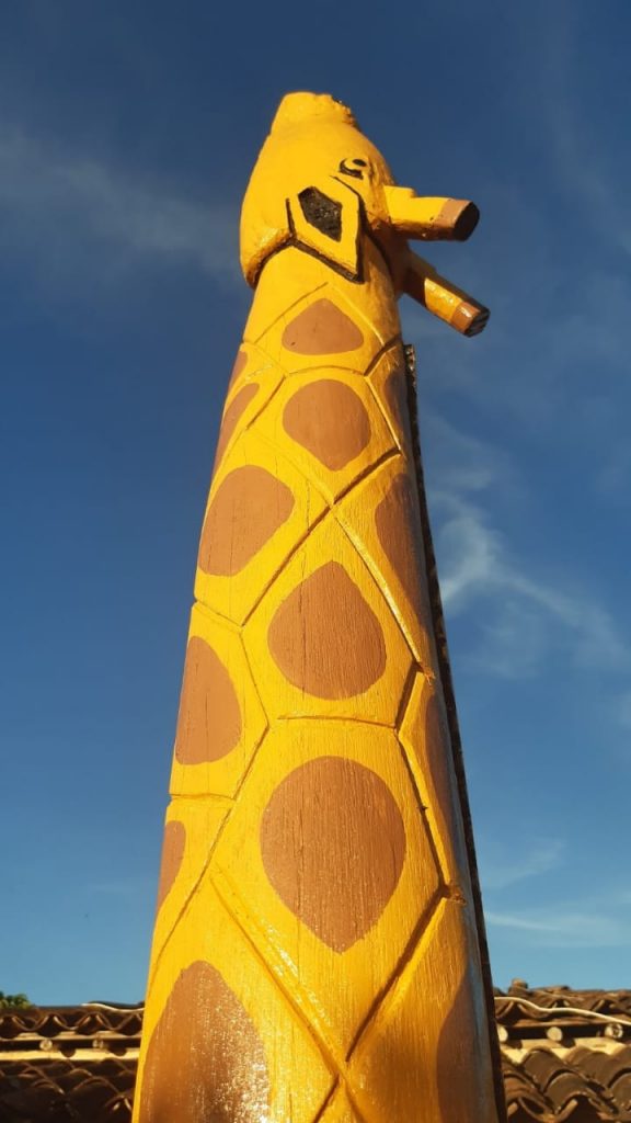 Exposição “Vejo Bicho Nos Troncos” estará no Shopping Peixoto neste fim de semana