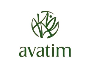 Avatim
